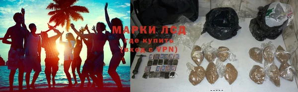 гидра Горняк