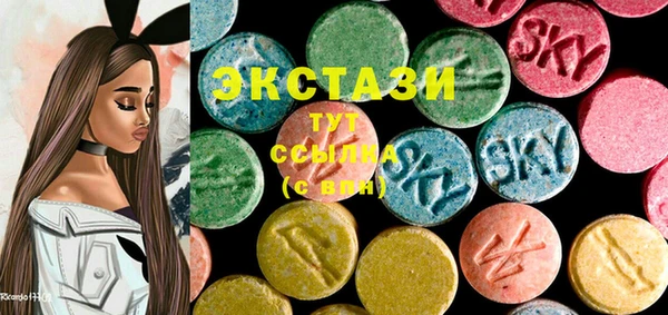 гидра Горняк
