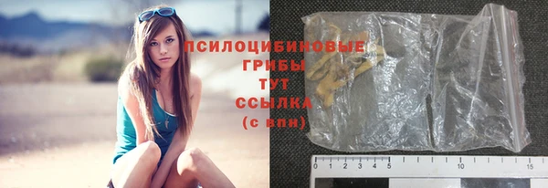 ГАЛЛЮЦИНОГЕННЫЕ ГРИБЫ Горнозаводск