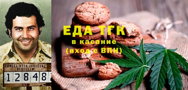 гидра Горняк