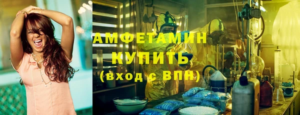 гидра Горняк