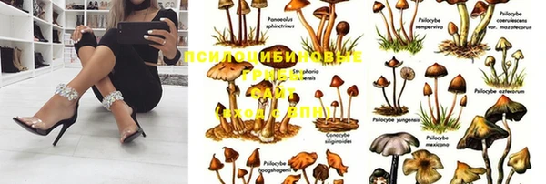 меф Вязники